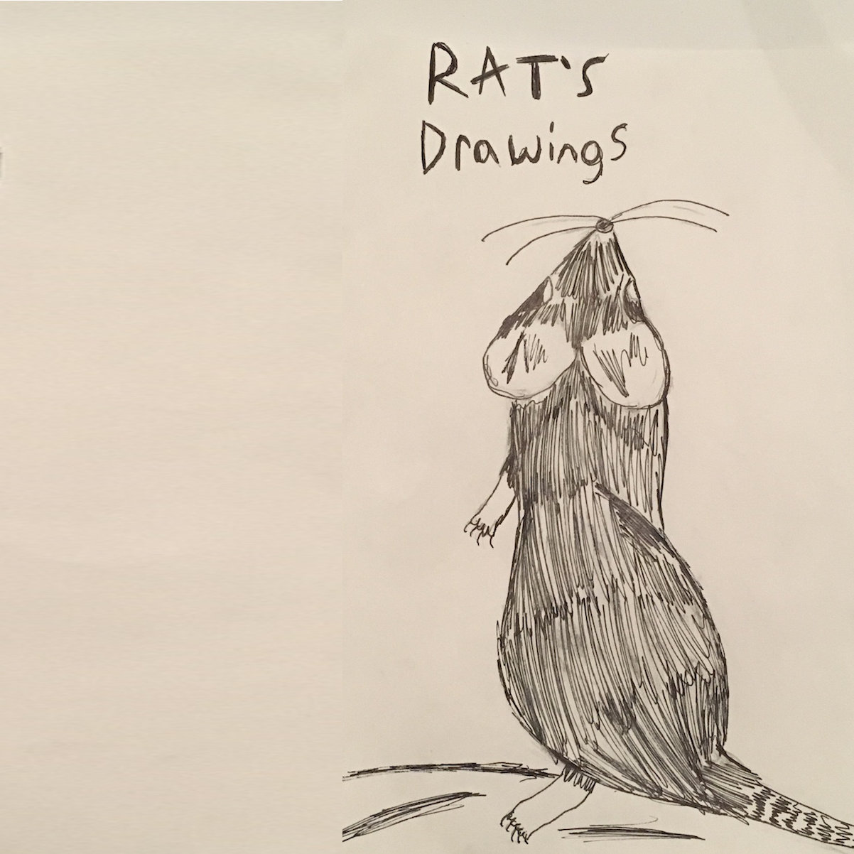 Rat's Drawings